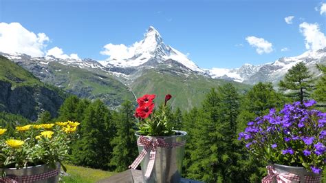 Summer hiking in the Swiss Alps Summer Hike, Swiss Alps, Hiking ...