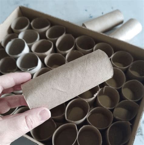 People Are Using Toilet Paper Rolls To Make Biodegradable Pots For ...