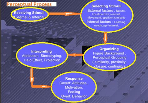 The individual processes: Perception (Organisational Behaviour) - The ...