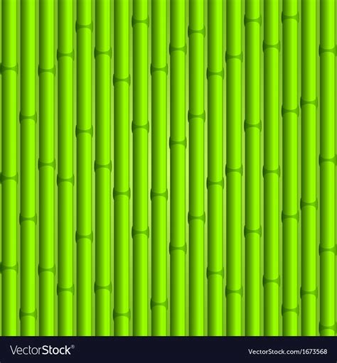 Bamboo background Royalty Free Vector Image - VectorStock