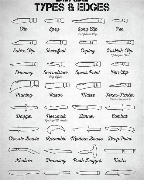 Blade Types and Edges Poster by Zapista OU