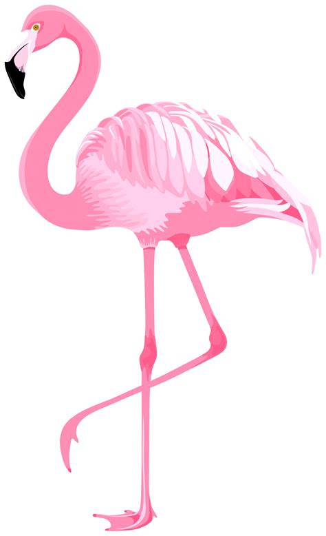 a pink flamingo standing on its hind legs