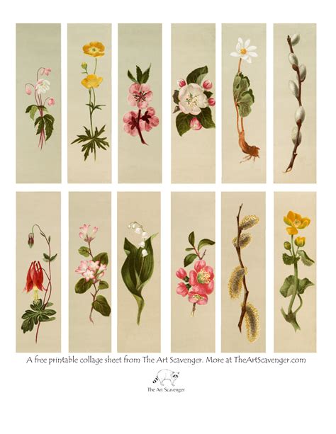 Flower Stem Printable