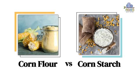 Corn Flour vs Corn Starch: Key Differences, Nutritional Profile, Flavor ...