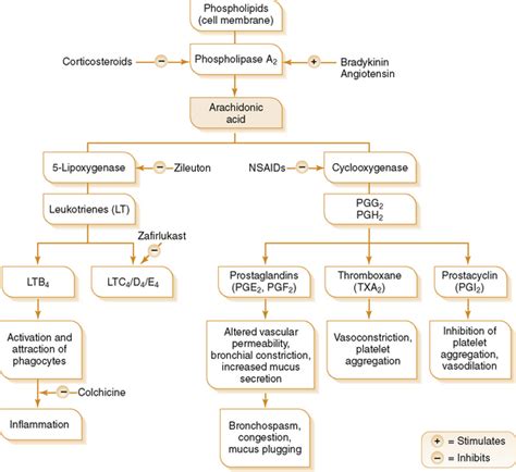 Nonsteroidal Anti-Inflammatory Drugs and other Nonopioid Analgesic-Antipyretic Drugs ...