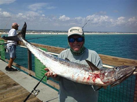 Navarre Beach Fishing Pier - All You Need to Know BEFORE You Go (2024)