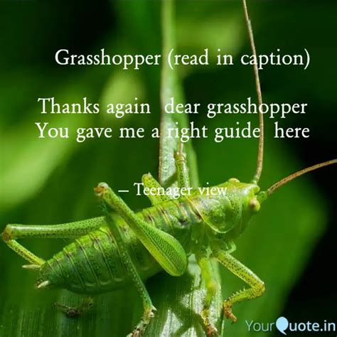 Grasshopper (read in ... | Quotes & Writings by Ishani Mahato | YourQuote