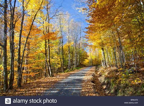 Laurentian Mountains Autumn High Resolution Stock Photography and Images - Alamy