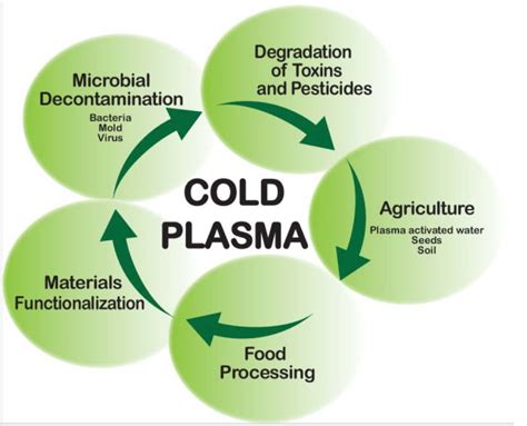 Foods | Free Full-Text | Recent Advances and Potential Applications of Atmospheric Pressure Cold ...