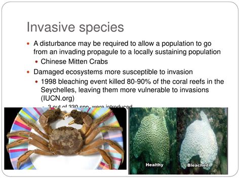 Introduction Of Invasive Species