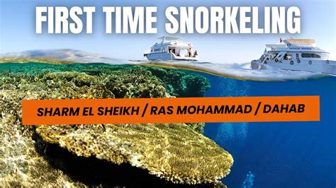 Snorkeling in SHARM EL SHEIKH RAS MOHAMMED DAHAB AUGUST 2017 4K - YouTube