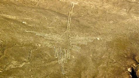 Nazca Lines Hummingbird