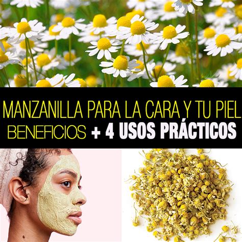 Beneficios de la manzanilla para tu rostro y piel + 4 usos prácticos - La Guía de las Vitaminas