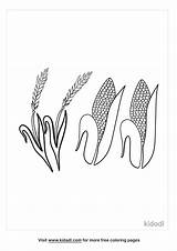 Coloring Pages Crops Farmer Harvest Harvesting Para Colorear Paisajes  sketch template