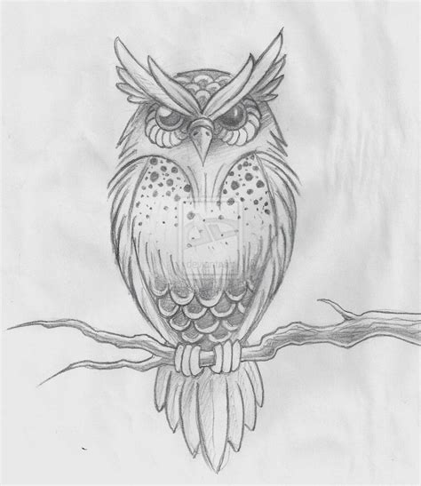 How To Draw An Owl Sketch | Sketch Drawing Idea