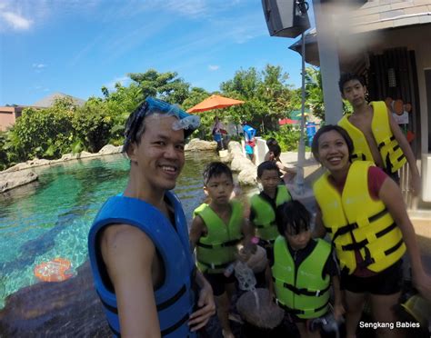 Adventure Cove waterpark review - Sengkang Babies