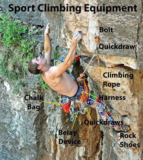 Climbing Gear | Sport climbing, Rock climbing, Rock climbing gear