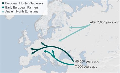 Europeans drawn from three ancient 'tribes' - BBC News