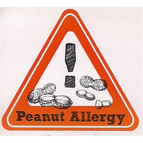 Peanut Allergy Warning Sticker |Allergies First Aid | Montreal Safety Experts | ProtectEnfant.com