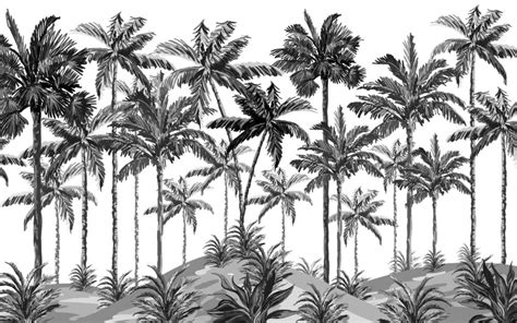 Black And White Palm Trees Wall Mural