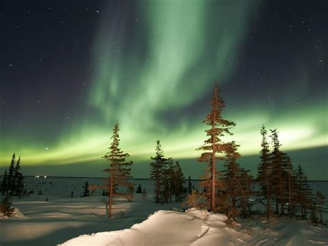 Northern Lights: Nature's Winter Magic