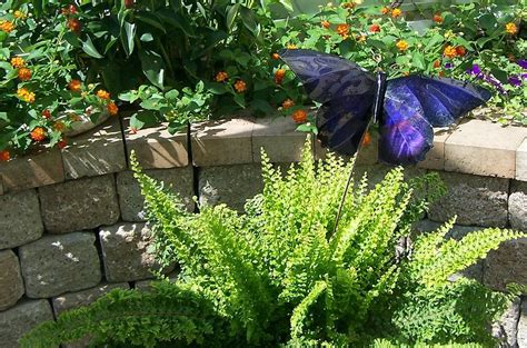 Mackinac Island Butterfly House Photograph by Kathleen Luther - Pixels