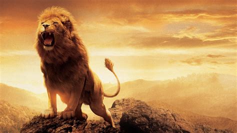 Narnia Lion Aslan Wallpapers | HD Wallpapers | ID #15038