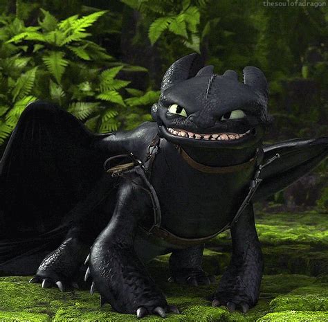 Toothless GIF - Find & Share on GIPHY