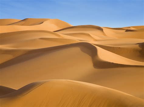 Sand Dunes #7026824