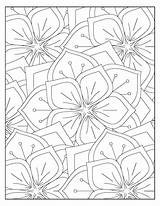 Premium Vector  Flowers coloring pattern Design sketch template