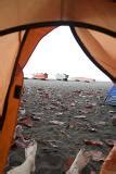 Free Stock photo of Camp Tents at Ho'Okena Beach Park in Hawaii | Photoeverywhere