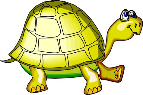 Free Cartoon Tortoise Cliparts, Download Free Cartoon Tortoise Cliparts png images, Free ...