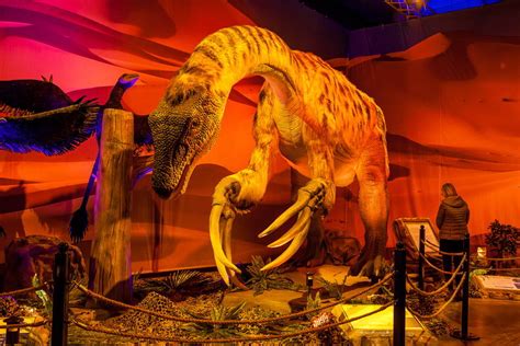 Imagine Exhibitions Unleashes Dinosaurs Around The World ~ LoupDargent.info