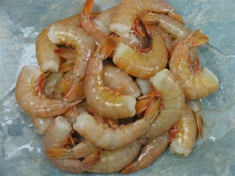 Gulf Brown Shrimp – Key West Shrimp Company