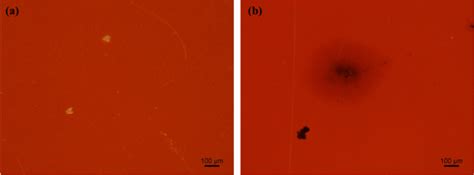 Commercial polyimide film (a) before and (b) after thermal aging at 275 ...