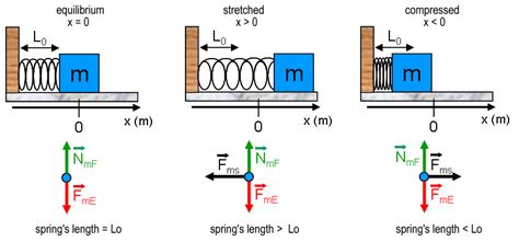 Spring Force Free Body Diagram - Wiring Site Resource