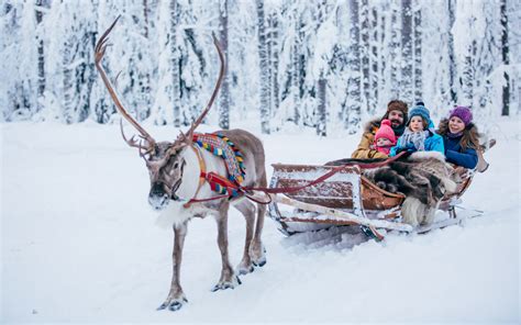 Reindeer Sleigh Rides in Rovaniemi Lapland with Santa Claus Reindeer