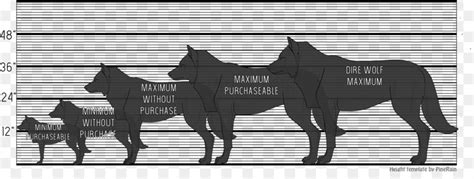 Dire Wolf Size Comparison Chart