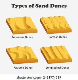 Types Sand Dunes Diagram Science Education Stock Illustration 2411774319 | Shutterstock