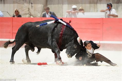 Horrid practices in 2015: Female bullfighter cuts off bull ears as ...