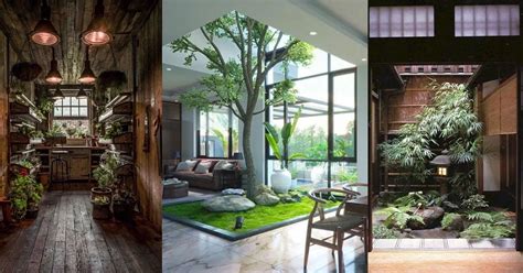 What Is An Indoor Garden Called | Storables