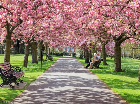 17 Best Parks and Grand Green Spaces in London | London's Major Parks