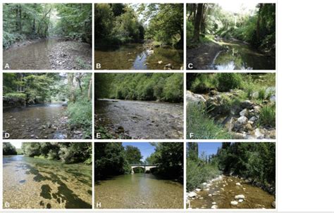 Examples of the sampling sites in Croatia: Pannonian Ecoregion:... | Download Scientific Diagram