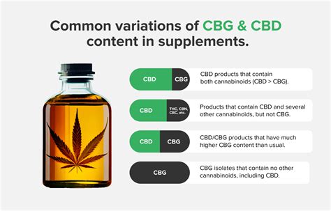 CBG vs CBD: What’s the Difference? | The CBD Insider