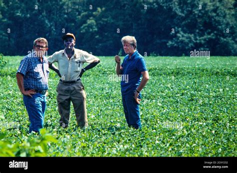 Plains georgia peanut hi-res stock photography and images - Alamy