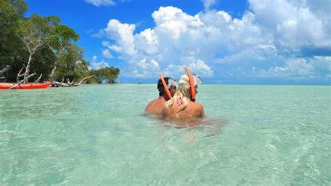 Best Key West Snorkeling Spots and Secret Reef Locations