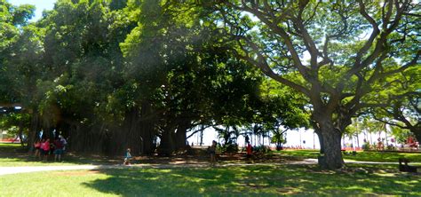 Kapiolani Park | Oahu Hawaii