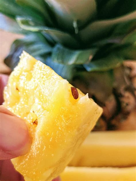 Growing Pineapple from Seeds – Collecting & Planting Pineapple Seeds - Bunny's Garden