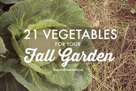 21 Vegetables for the Fall Garden