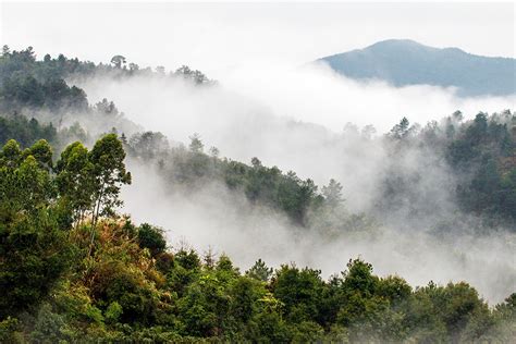 青云山图册_360百科